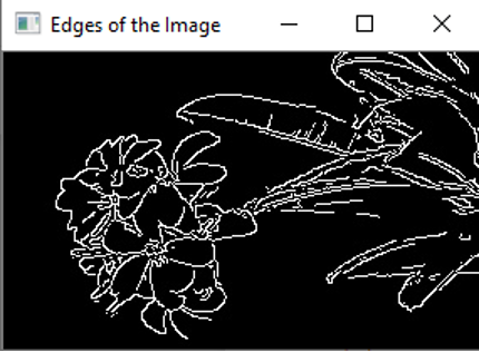L'immagine processata con un algoritmo di edge detection. L'immagine ha uno sfondo totalmente nero, con i bordi degli oggetti tratteggiati con linee bianche. È il risultato del blocco codice di esempio.