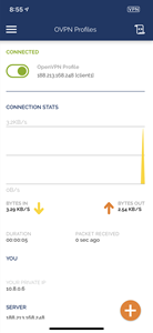 Disattivare connessione con Client OpenVPN
