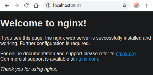 pasted-image-0-4.png Avviare un immagine Docker