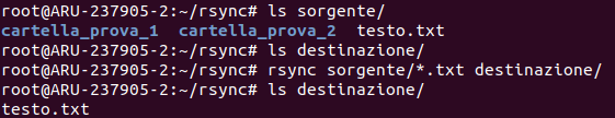 Sincronizzazione di alcuni tipi di file con rsync